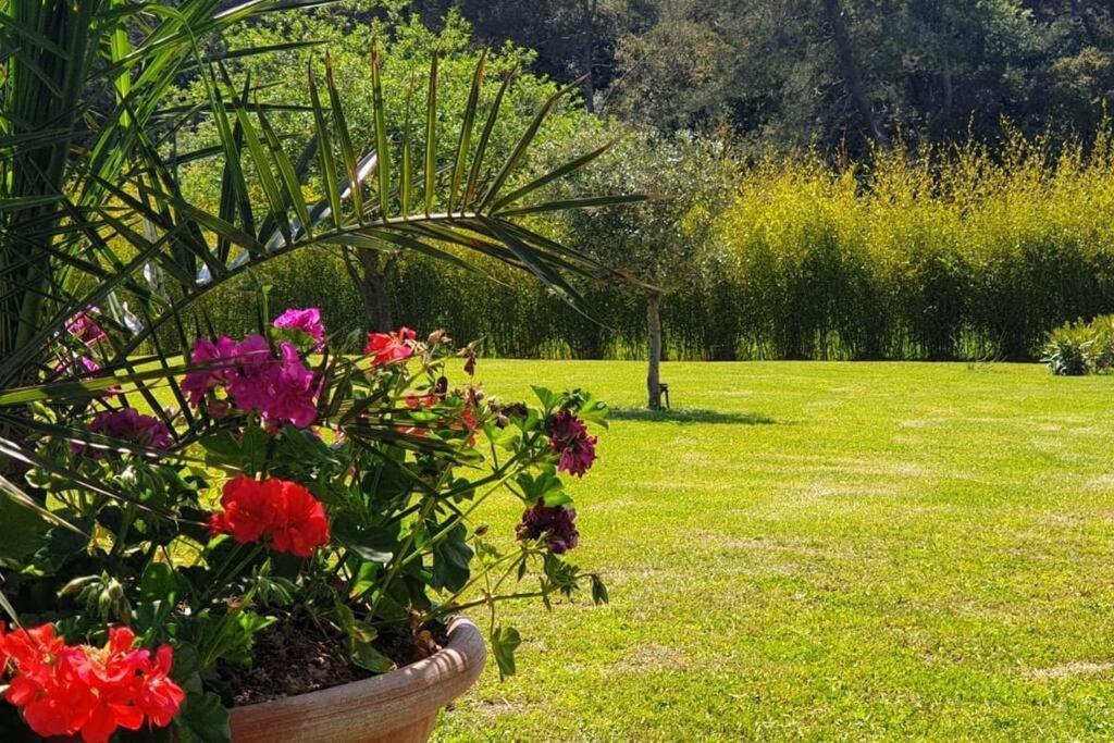 Les Prairies De Fenestrelle Spa & Piscine Au Calme Обан Екстериор снимка